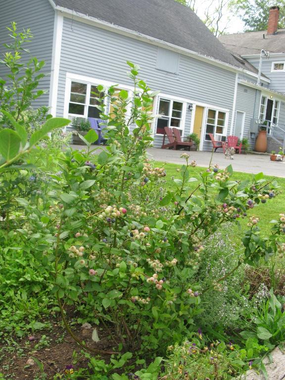 Dragonfly Inn Annapolis Royal Exterior photo